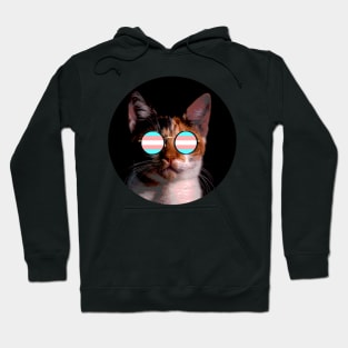 Cute Cat with Glasses Flag Hoodie